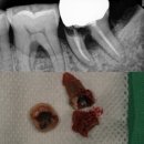 부평센트럴치과의원 이미지