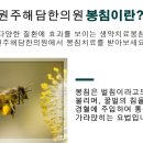 해담한방병원 이미지