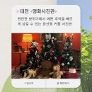 대덕대로233번길 | 크리스마스 사진 컨셉 사진 후기🎅 ㅣ 대전 둔산동 사진관 <명화사진관> 대전 증명사진
