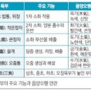 진기제 이미지