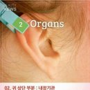 통증지압케어센터 네이버블로그