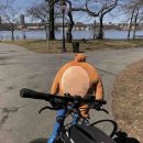 토닥토닥 이미지