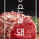 고령축산물판매장 이미지