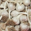 금호농산 이미지