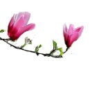 삼익공인중개사사무소 이미지