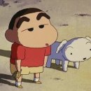 짱구애견 이미지