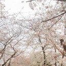 행복한백반 이미지