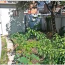 황금2동주민센터 이미지