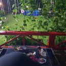 무창포마트 마켓25 이미지