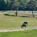 원당목장 이미지