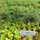 승철농장 이미지