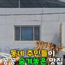 보성반점 - 영주시 구성로 405 | 보성반점