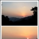 낭천농장 Daum카페