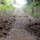 제주 셋알오름 일제동굴진지 이미지