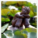 사랑의연못 이미지