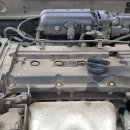 영일카프라자 이미지