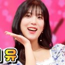 미스터.유 Daum카페