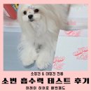 [공지] 대형 애견패드 추천 허레이 히어로 배변패드 비교 테스트