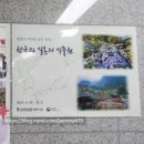 신구대학교식물원 갤러리 우촌 | 성남] 지금 방문해야 되는, 튤립 한가득 신구대학교식물원 (ft.수목원스탬프)
