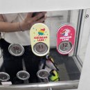 (아이랑)거제 키즈풀빌라 원더랜드 유니콘방