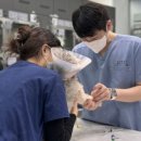 본동물메디컬센터 24시수성점 이미지