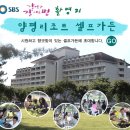 요아킴농장 티스토리