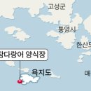 남평참다랑어