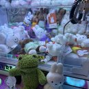 비타민 인형뽑기 이미지