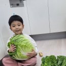 윤하진농장 Daum카페