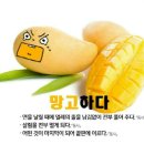 맛깔 이미지