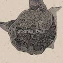 펫츠올 네이버블로그