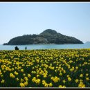 거제자연휴양림 이미지