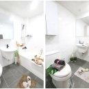 뜨라내움 이미지