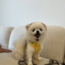 메트로동물병원 이미지