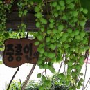 중흥2동행정복지센터 이미지