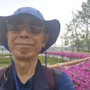 황금어시장 이미지