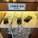 돋보이 개 이미지