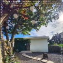 난산리-2 이미지