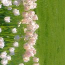 이렇게좋은날 이미지