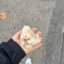 한국체대 복싱클럽(서창점) | 아인 블로그, 씰 부 쁠레