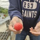 영일 농장 이미지