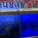 고흥장어마을 이미지