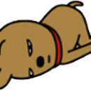 성훈펜션 이미지