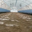 금원농장 이미지