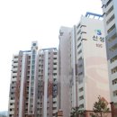 신성 팔남매공인중개사사무소 이미지