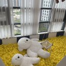 씨제이프레시웨이(주)태림포장 | 의정부 실내놀이터) 고산 산곡동 큐리키즈카페 22개월, 3개월 아가 후기
