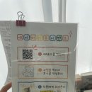 커뮤니캣 고양이 호텔&미용실 | 대구 고양이 목욕 잘하는 곳, 밀꼬냥 2인1조 무마취 위생미용+스파 후기