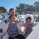 소노펠리체 비발디파크 이미지