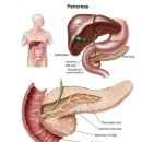 췌장암, 발견 늦어도 적극적인 항암치료 후 수술하면 생존기간 높일 수 있다 이미지