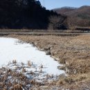 호3통 이미지